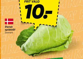 Bilka Dansk spidskål tilbud