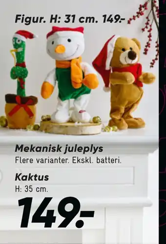 Bilka Kaktus tilbud