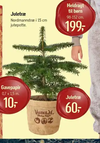 Føtex Juletræ tilbud