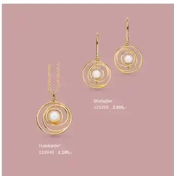 Scrouples Jewellery 8 kt. guld - halskæde og ørebøjler tilbud