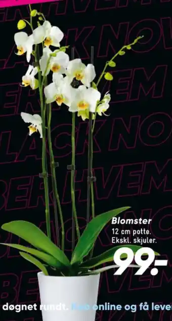 Bilka Ukendt planter tilbud