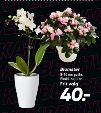 Bilka Ukendt planter tilbud