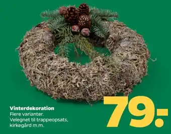 Netto Ukendt vinterdekoration tilbud