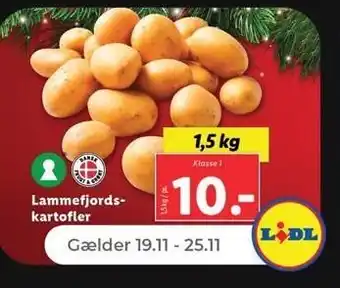 Netto Lammefjordskartofler, 1,5 kg tilbud