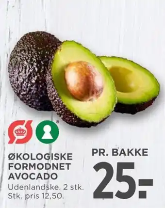 MENY ØKOLOGISKE FORMODNET AVOCADO tilbud
