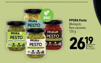 Ppura pesto
