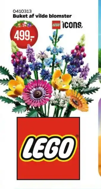 Buket af vilde blomster