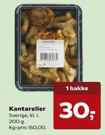 Kantareller