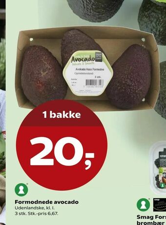 SuperBrugsen Formodnede avocado tilbud