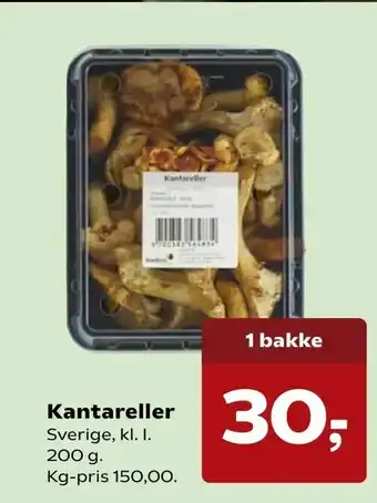 Kantareller