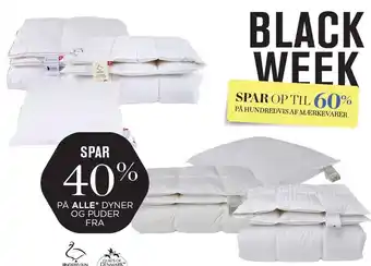 Salling Spar 40% på alle dyner og puder fra quilts of denmark og ringsted dun tilbud