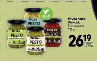 Ppura pesto