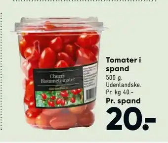 Bilka Tomater i spand tilbud