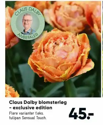 Claus Dalby blomsterløg - exclusive edition