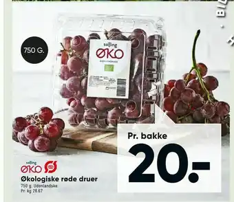 Bilka Økologiske røde druer tilbud