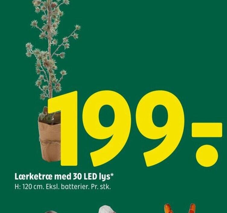Coop 365 Lærketræ med 30 LED lys tilbud