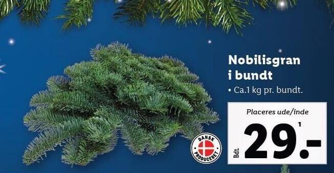 Lidl Nobilisgran i bundt tilbud