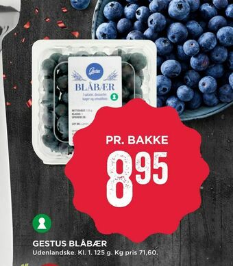 MENY Gestus blåbær tilbud