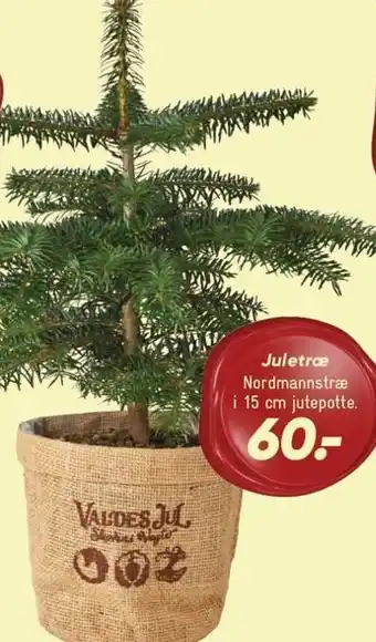 Juletræ