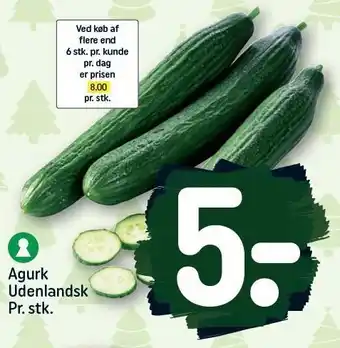 REMA 1000 Agurk tilbud