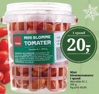 Dagli'Brugsen Mini blommetomater i spand tilbud