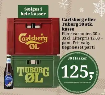 Dagli'Brugsen Carlsberg eller tuborg 30 stk. kasse tilbud