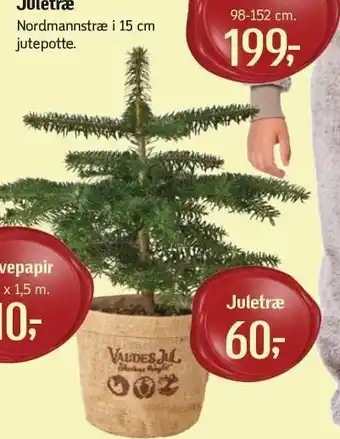 Føtex Juletræ tilbud