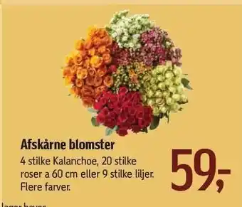 Føtex Afskårne blomster tilbud