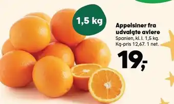 Kvickly Appelsiner fra udvalgte avlere tilbud