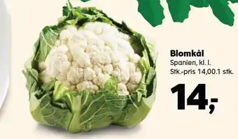 Blomkål