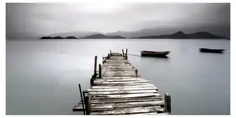 Photoinc