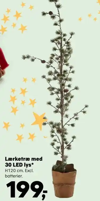 SuperBrugsen Lærketræ med 30 LED lys tilbud