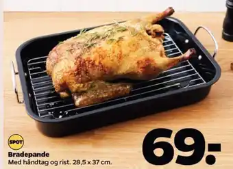 Bradepande