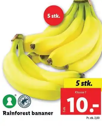 Lidl Rainforest bananer tilbud