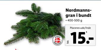Lidl Nordmannsgran i bundt tilbud