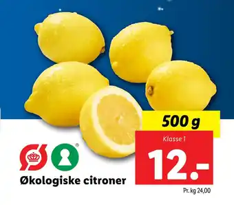 Lidl Økologiske citroner tilbud