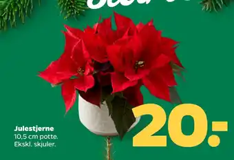 Netto Julestjerne tilbud