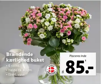 Lidl Brændende kærlighed buket tilbud