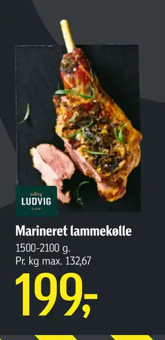 Føtex Marineret lammekølle tilbud