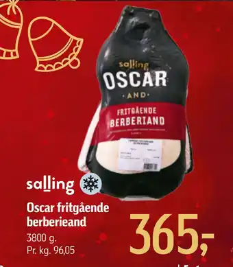 Oscar fritgående berberieand