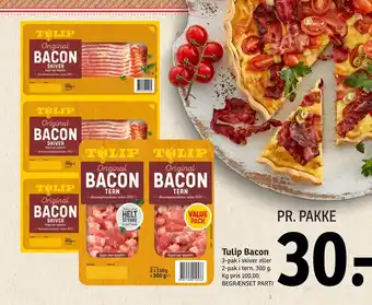 Tulip bacon