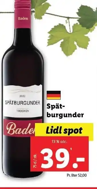 Lidl Spätburgunder tilbud
