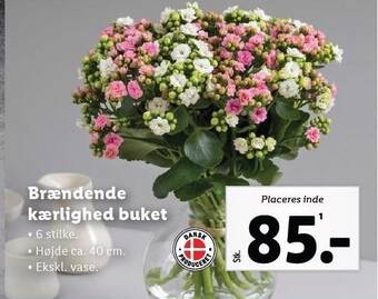 Lidl Brændende kærlighed buket tilbud