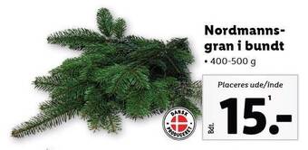 Lidl Nordmannsgran i bundt tilbud