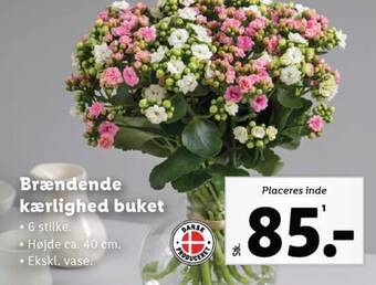 Lidl Brændende kærlighed buket tilbud
