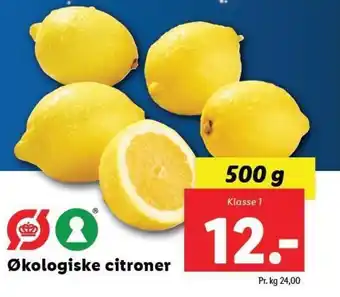 Lidl Økologiske citroner tilbud