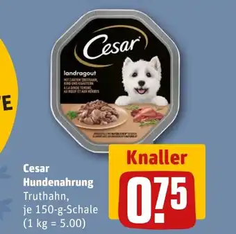 Cesar Hundenahrung