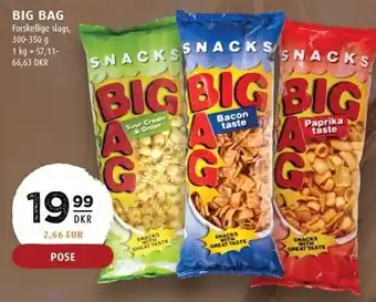 Scandinavian Park Big bag tilbud