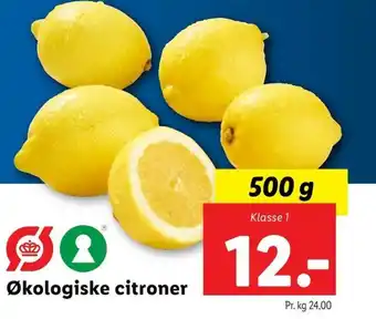 Økologiske citroner
