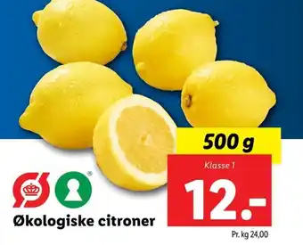 Lidl Økologiske citroner tilbud